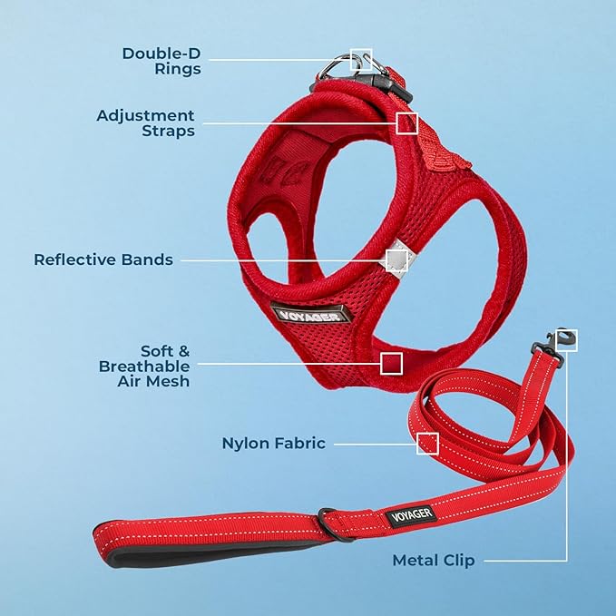 Best Pet Supplies Voyager Step-in Air All Weather Mesh Harness and Reflective Dog 5 ft Leash Combo with Neoprene Handle, for Small, Medium and Large Breed Puppies - Set (Red), XXXS