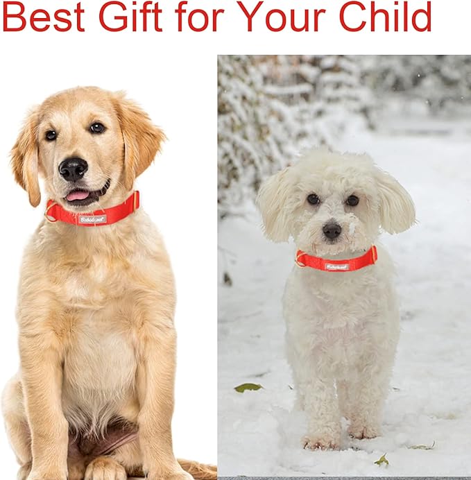 Nylon Dog Collar - Adjustable Red Soft Webbing Dog Collars for Small Medium Large Dogs Boy Girl Puppy Collar with Safety Metal Buckle L