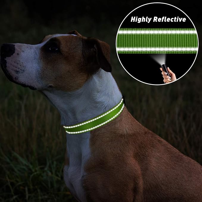 TagME Reflective Nylon Dog Collars, Adjustable Classic Pet Collar with Quick Release Buckle for Small Dogs, Green, 3/4" Width