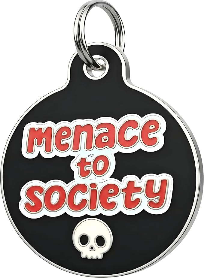 Bad Tags Personalized Dog and Cat ID Tags in 25+ Designs and 2 Sizes - 5 Lines of Custom Engraved Text - Funny Cute Personalized Pet Tags (Menace to Society, Large (1.25 inch))