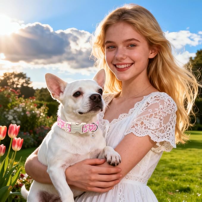 DOGWONG Flower Dog Collar-Daisy Flower Print Girl Dog Collar for Large Cute Dog Collars Spring Female Pet Gift Adjustable Heavy-Duty Soft Collar，XL