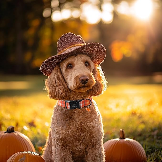 Fall Dog Collar Cute Orange Plaid Puppy Collar - Light Comfortable Adjustable Pet Collars for Small Medium Large Girl Boy Dogs XL