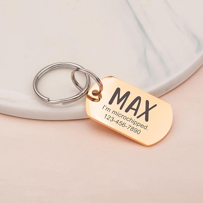Anavia Personalized Pet ID Tags, Stainless Steel Glossy Laser Engraved Dog Cat Collar Name Tags, Multiple Colors Shapes Sizes (Dog Tag, Regular)