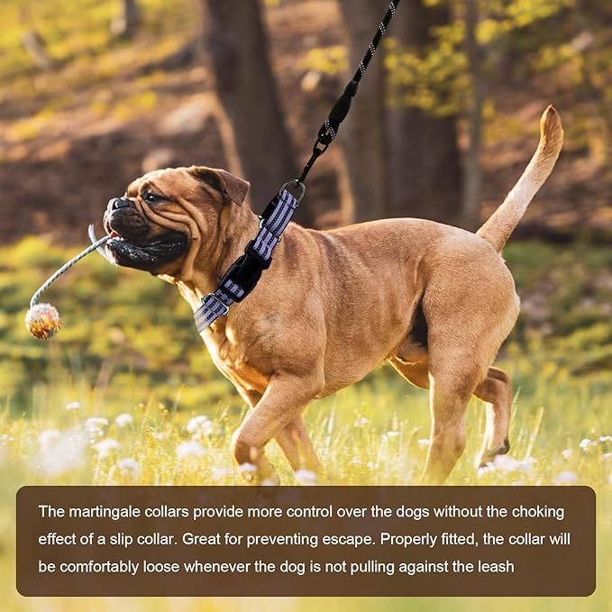 Hikiko Martingale Dog Collars Reflective Nylon Dog Collar with Quick Release Buckle Adjustable Training No Slip Dog Collar (Medium, Lavender)