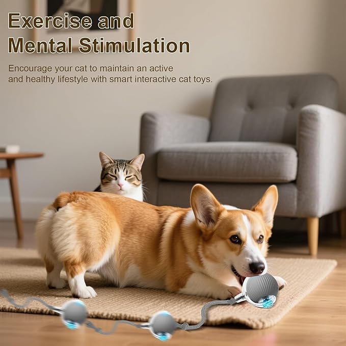 Interactive Cat Toy Ball, Smart Interactive Cat Toys, Smart Cat Toy for Enrichment, Motion Activated Automatic Cat Toys to Keep Them Busy (Red)