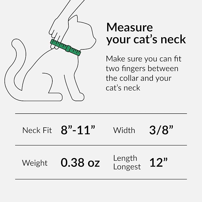 CollarDirect Leather Cat Collar with Bell - Kitten Collar, Small and Big Cat for Boy Cats, Girl Cats with Safety Elastic Strap (Neck Fit 8"-11", Light Blue)