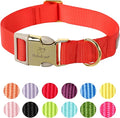 Nylon Dog Collar - Adjustable Red Soft Webbing Dog Collars for Small Medium Large Dogs Boy Girl Puppy Collar with Safety Metal Buckle S