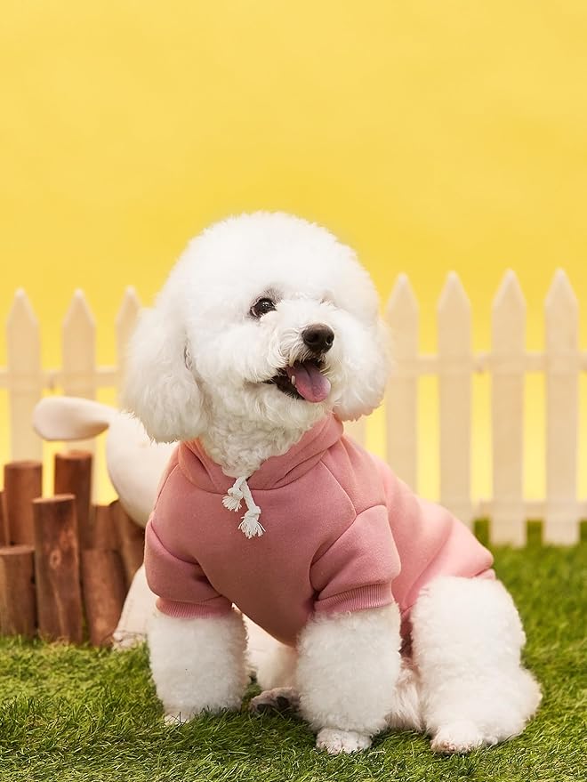 QWINEE Basic Dog Hoodie Sweatshirt Puppy Sweater Warm Cat Costumes Pet Clothes for Chihuahua Puppy Kitten Small Medium Dogs Pink and Green Medium