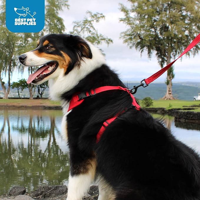 Voyager Step-in Pet Harness - All Weather Mesh, Adjustable Step in Harness for Cats and Dogs by Best Pet Supplies - Army/Black Trim, L