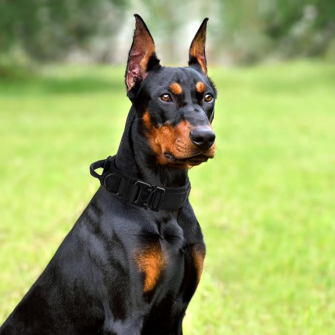 Tactical Dog Collar Set, Adjustable Military Training Nylon Dog Collar with Control Handle and Heavy Quick-Release Metal Buckle for Small Medium Large Dogs, Black Set XL