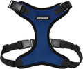 Voyager Step-in Pet Harness - All Weather Mesh, Adjustable Step in Harness for Cats and Dogs by Best Pet Supplies - Royal Blue/Black Trim, M