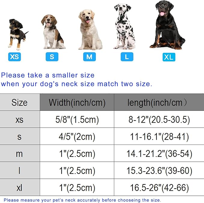 DOGWONG St. Patrick Dog Collar, Comfortable Adjustable Green Clover Pattern Dog Collar for Large Male Female Dogs,XL
