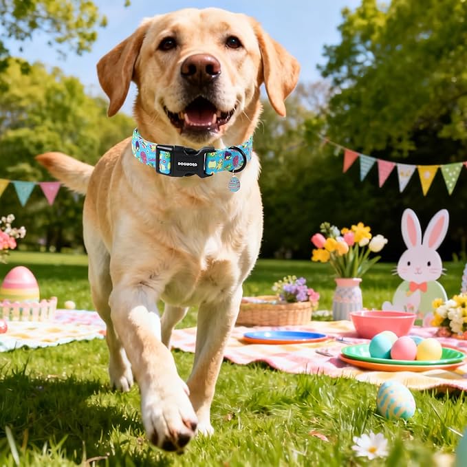 DOGWONG Easter Dog Collar, Cute Easter Egg Pet Collar Durable Holiday Girl Boy Adjustable Cotton Dog Collars with Quick Release Buckle for Small Dogs,S Visit The Elegant Little Tail Store