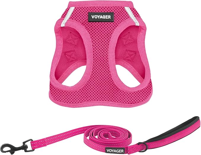 Best Pet Supplies Voyager Step-in Air All Weather Mesh Harness and Reflective Dog 5 ft Leash Combo with Neoprene Handle, for Small, Medium and Large Breed Puppies - Set (Fuchsia), XS