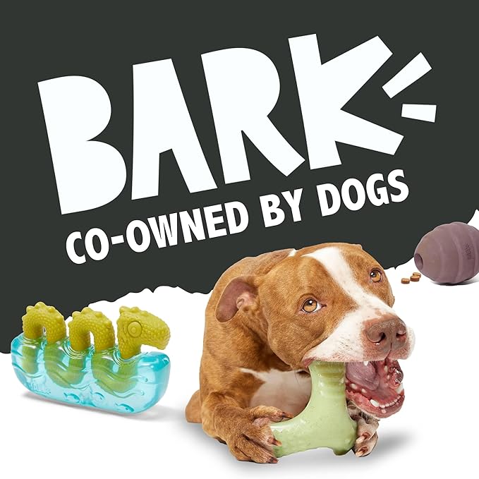 Barkbox Super Chewer Tough Dog Chew Toys for Aggressive Chewers, Dental Stimulating (Chopper - Large)