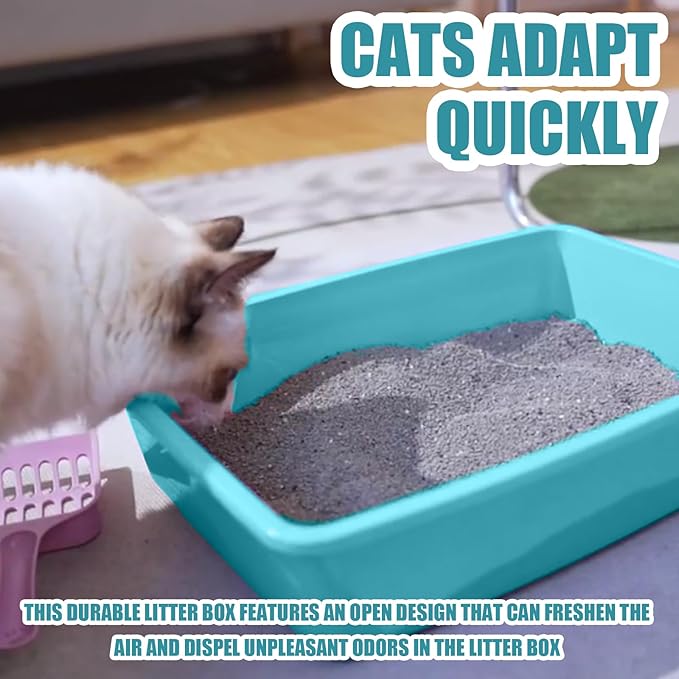 Small Litter Box, Plastic Kitten Litter Box, 13.9 x 9.8 x 3 Inch Open Litter Box for Small Pet, Easy to Clean (Blue 4PCS)