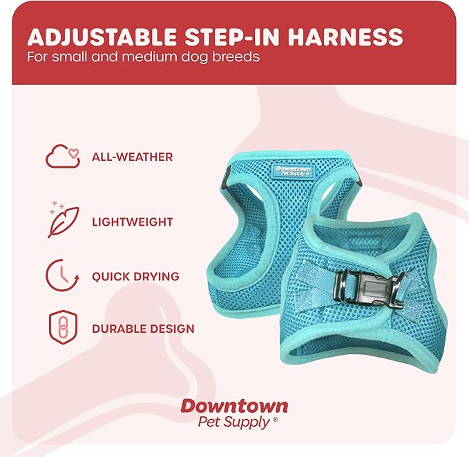 Downtown Pet Supply Step-in Dog Harness – No Pull, Adjustable Padded Mesh with Reflective Trim, Secure Buckle Strap – Comfortable & Breathable Small Dog Harness, XX-Small, Light Blue