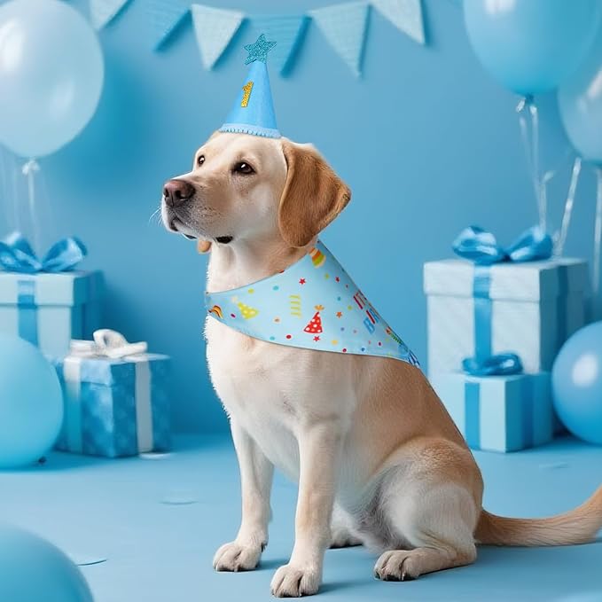 Dog Birthday Party Supplies with Hat Bandana Numbers, Light Blue Dog Birthday Set for XLarge Large Pets Puppy Boy