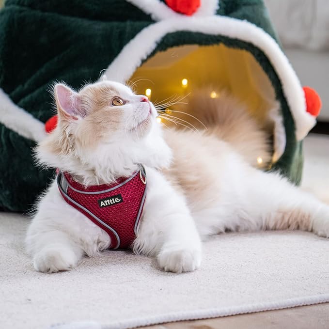 AIITLE Small Harness for Puppy with A Leash - Christmas Dog Vest Harness with Super Breathable Mesh, Reflective No-Pull Pet Harness for Outdoor Walking, Running for Small Dogs, Cats Burgundy XXS