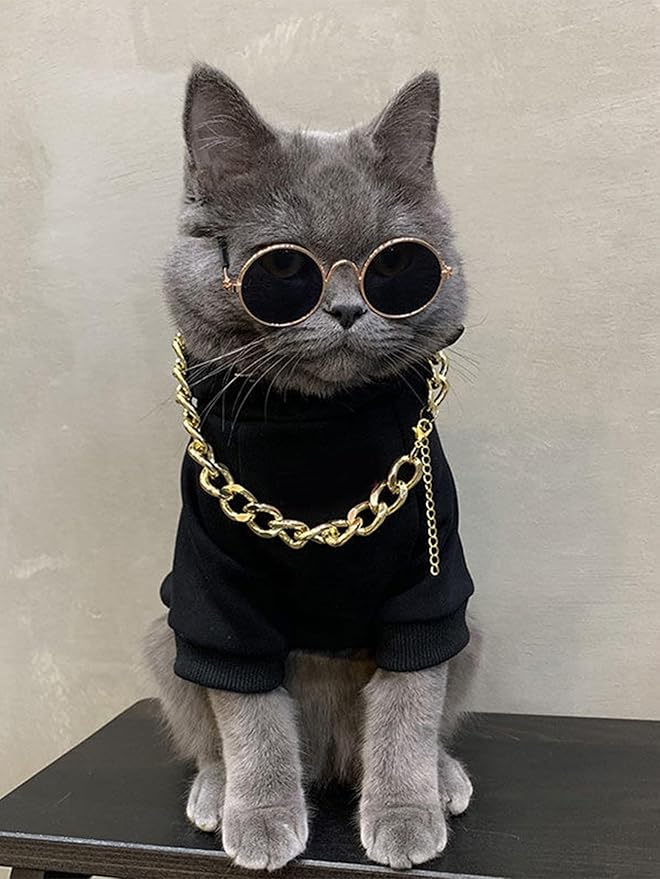QWINEE 3Pcs Dog Hoodie Cat Apparel Dog Custume Set with Necklace and Sunglasses Pet Clothes for Puppy Small Medium Dogs Cats Multicolor XXL