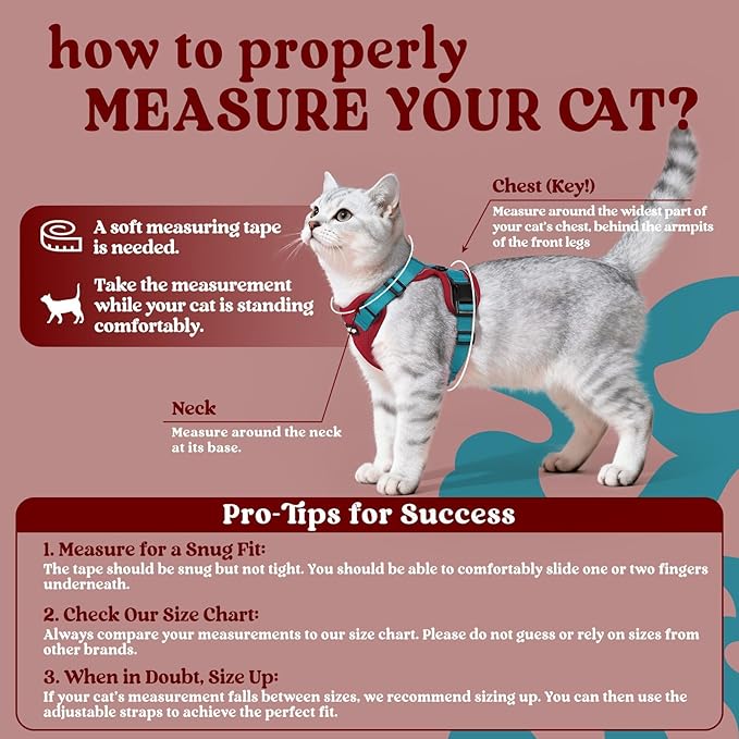 rabbitgoo Cat Harness and Leash for Walking, Escape Proof Soft Adjustable Vest Harnesses for Cats, Easy Control Breathable Reflective Strips Jacket, Red & Teal, XXS