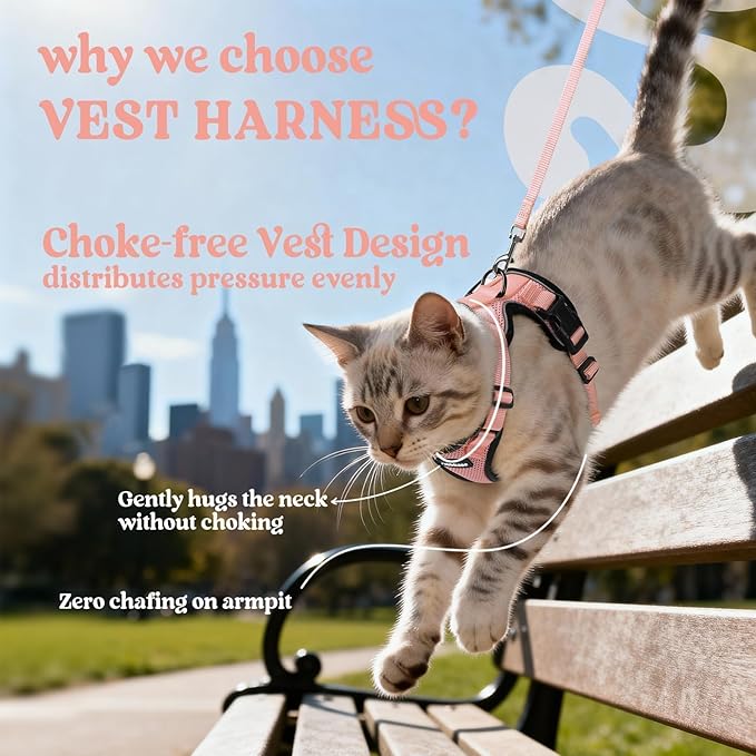 rabbitgoo Cat Harness and Leash for Walking, Escape Proof Soft Adjustable Vest Harnesses for Cats, Easy Control Breathable Reflective Strips Jacket, Light Salmon Pink, M