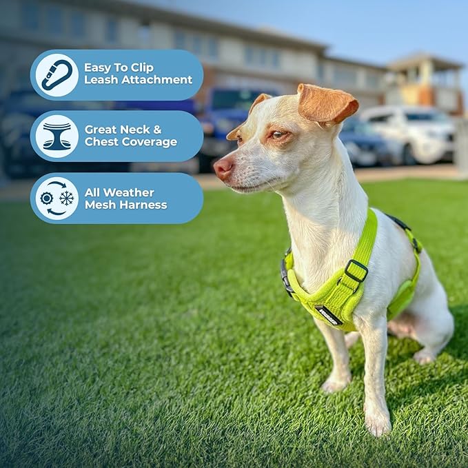 Best Pet Supplies Voyager Step-in Air All Weather Mesh Harness and Reflective Dog 5 ft Leash Combo with Neoprene Handle, for Small, Medium and Large Breed Puppies - Set (Lime Green), S
