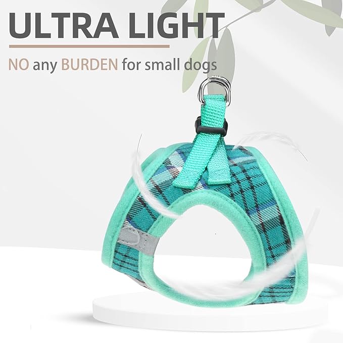 PUPTECK Adjustable Dog Harness Collar and Leash Set Step in No Pull Pet Harness for Small Medium Dogs Puppy and Cats Outdoor Walking Running, Soft Mesh Padded Reflective Vest Harnesses, Lake Green L