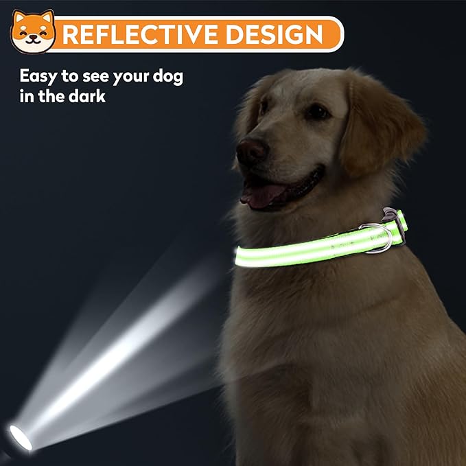 Reflective Dog Collar, Adjustable Soft Neoprene Padded Nylon Pet Collars with Buckle for Puppy and Small Dogs, Cats, Green,XS
