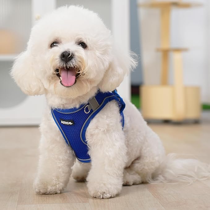 AIITLE Step in Dog Harness and Leash Set - No Pull Escape Proof Vest Harnesses with Soft Mesh and Reflective Bands, Adjustable Pet Outdoor Harnesses for Small and Medium Dogs Royal Blue M