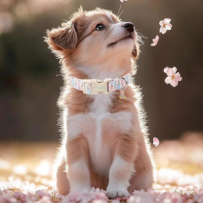 Easter Dog Collar for Large Dogs - Pastel Bunny Easter Collars for Female Dogs, Cute Spring Girl Dog Collar, Lightweight Adjustable Cartoon Holiday Pet Collars L