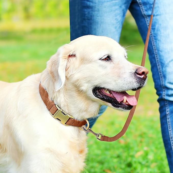 Genuine Leather Dog Collar - Adjustable Pet Collar with Quick Release Metal Buckle, Soft Skin Friendly Real Leather Collar for Small, Medium, Large Dogs (Khaki Collar + Rope, L：Fit 15-23" Neck)
