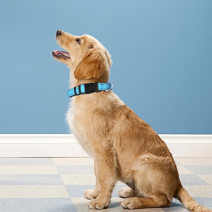 Reflective Dog Collar, Adjustable Soft Neoprene Padded Nylon Pet Collars with Buckle for Small Dogs, Sky Blue,S