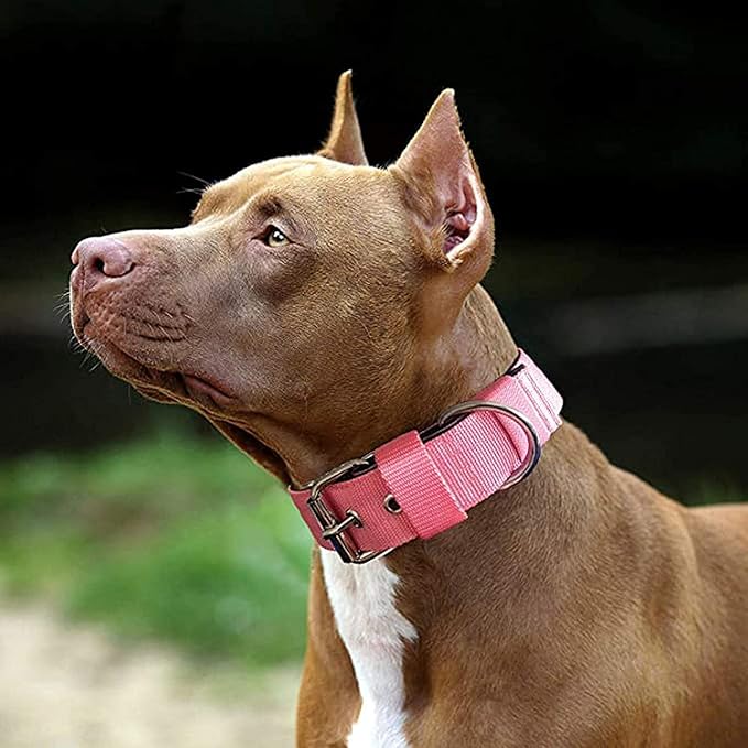 Heavy Duty Tactical Dog Collar - 1.5" Width Military Durable Thick Nylon with Adjustable Metal D Ring & Buckle Working Training K9 Collar for Medium Large Dogs (XL(23"-26"), Pink)