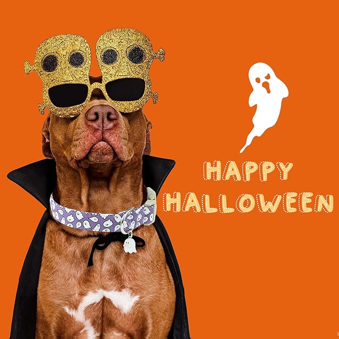 Faygarsle Halloween Dog Collar with Charm, Purple with Ghost Pattern, for Small Medium Large Dogs M