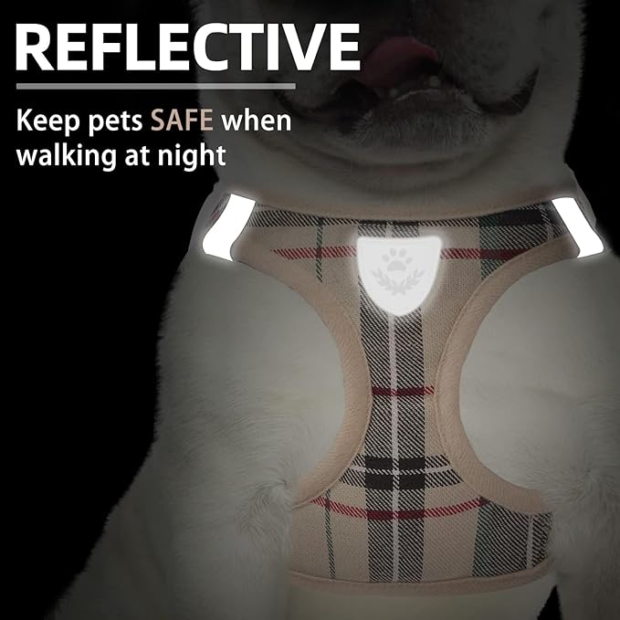 PUPTECK Adjustable Pet Harness Collar &Leash Set Step in for Small Dogs Puppy &Cats Outdoor Training &Running, Soft Mesh Padded Reflective Vest Harness,M: Chest girth: 16-18in Collar: 11.8-15.7in