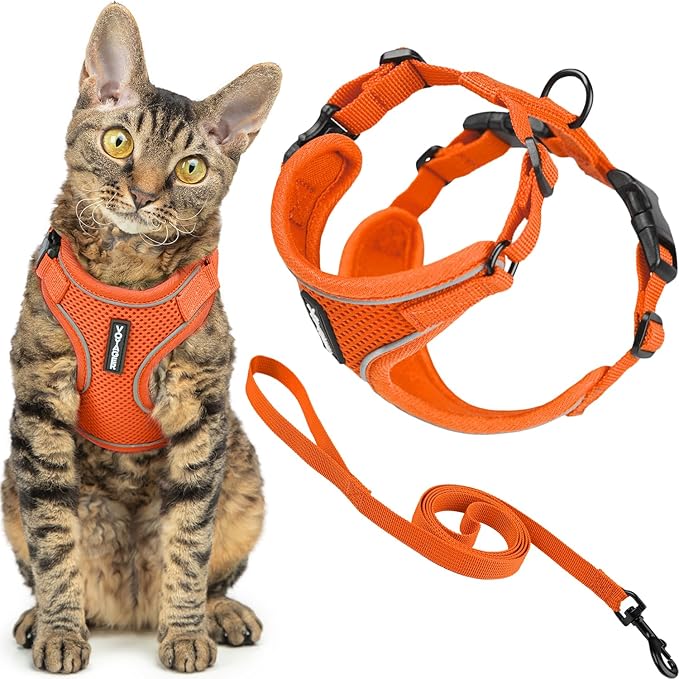 Voyager Escape-Proof Step-in Lock Cat Harness & 5ft Neoprene-Handle Leash Set All-Weather Mesh with Reflective Stitching for Small to Large Cats by Best Pet Supplies, Orange (327), S