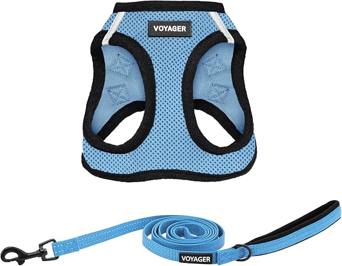 Best Pet Supplies Voyager Step-in Air All Weather Mesh Harness and Reflective Dog 5 ft Leash Combo with Neoprene Handle, for Small, Medium and Large Breed Puppies - Baby Blue/Black Trim, X-Large