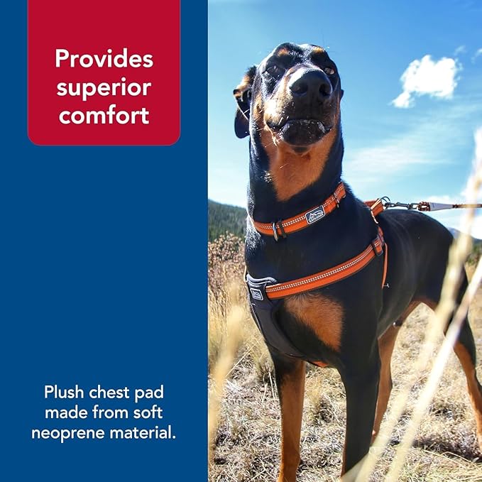 Coastal Pet K9 Explorer Reflective Adjustable Padded Dog Harness - Plush Chest Pad for Comfort - No-Pull Dog Harness for Small and Large Dogs - Campfire Orange - 1" x 20"-30", Medium