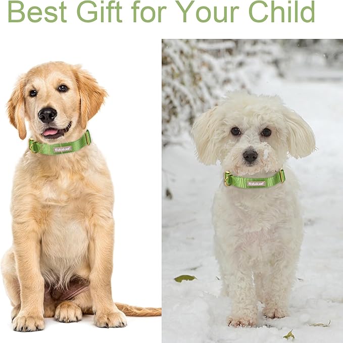 Nylon Dog Collar - Adjustable Green Soft Webbing Dog Collars for Small Medium Large Dogs Boy Girl Puppy Collar with Safety Metal Buckle M