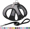 AIITLE No Pull Dog Harness and Leash Set, Step in Adjustable Dog Harness with Padded Vest for All Weather, Dog Leash with Soft Padded Handle, Easy to Put on Small and Medium Dogs Black S