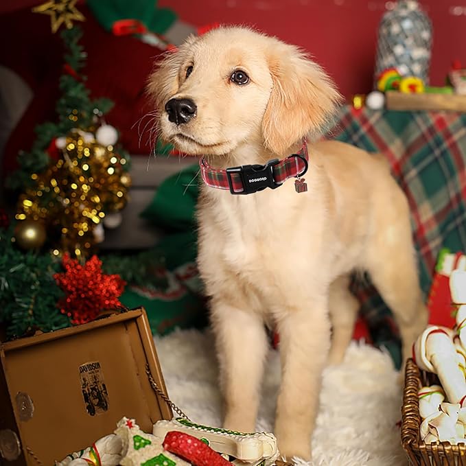 DOGWONG Christmas Plaid Dog Collar, Cute Adjustable Red Collar for Boy and Girl Dogs, Dog Collar with Strong Plastic Buckle for Small Medium Large Dogs,XL