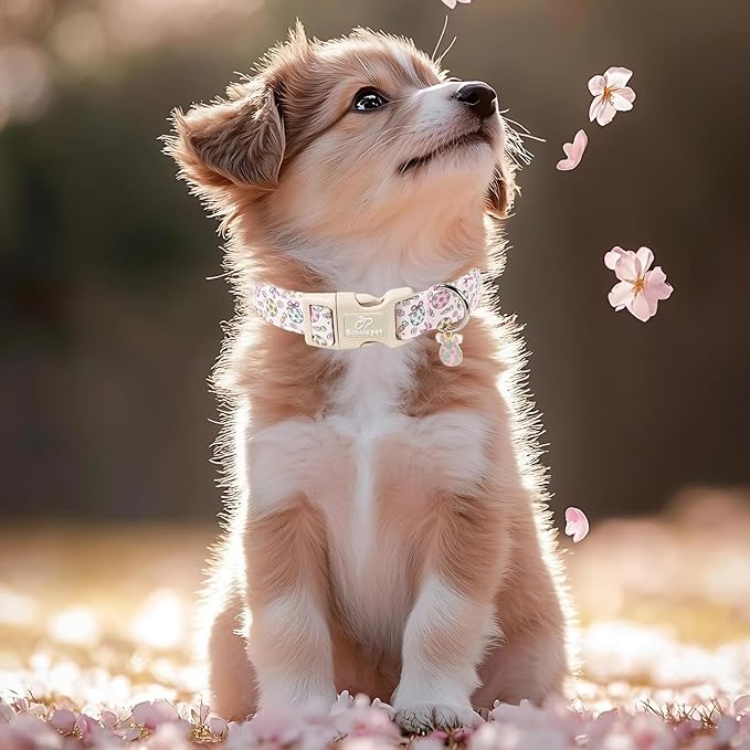 Easter Dog Collar for Puppy Small Dogs - Easter Egg Pastel Dog Collars, Cute Girl Dogs Collar, Lightweight Adjustable Spring Holiaday Dog Collars with Quick Release Buckle XS