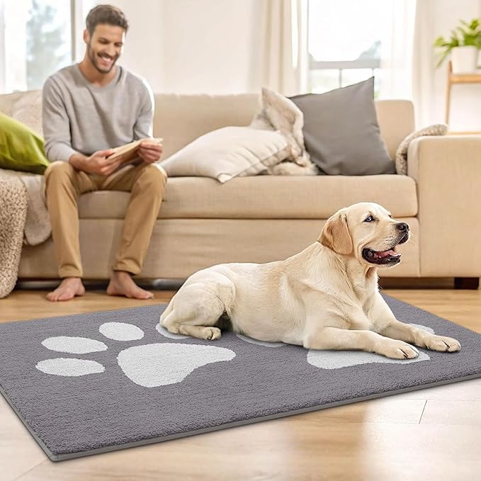 Buganda Dog Door Mat for Muddy Paws, Absorbent Dirt Trapper Washable Indoor Doormats, Non Slip Low-Profile Mud Mat for Dogs, Front Entrance Doormat for Inside Floor (48x30 Inches, Light Grey)