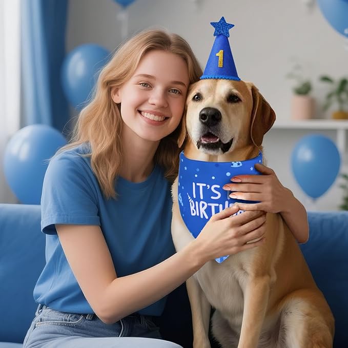 Dog Birthday Party Supplies, Blue Dog Birthday Set with Hat Bandana Numbers for Large Medium Boy Pets Puppy