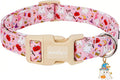 Halloween Dog Collar, Fall Dog Collars for Medium Dogs, Cute Pink Puppy Collar with Adorable Ghost & Pumpkin Design, Soft Cotton Medium Dog Collars Girl Boy Dog Collar-M