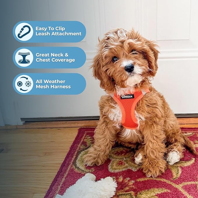 Best Pet Supplies Voyager Step-in Air All Weather Mesh Harness and Reflective Dog 5 ft Leash Combo with Neoprene Handle, for Small, Medium and Large Breed Puppies - Harness Leash Set (Orange), XXS