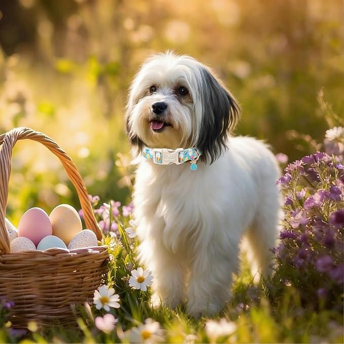 Easter Dog Collar for Giant Large Dogs - Cute Easter Egg Hunt Dog Collars for Boy Girl Dogs, Playful Bunny & Chick Print, Lightweight Adjustable Spring Holiday Dog Collar XL