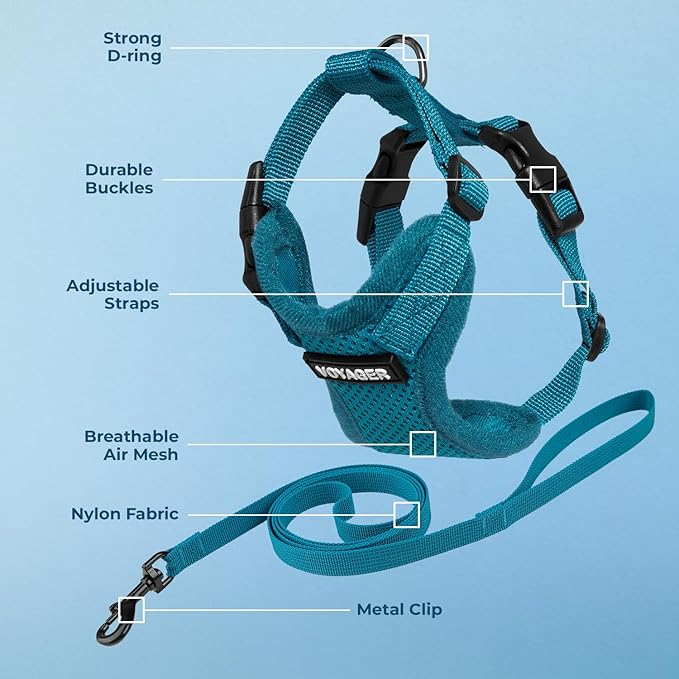 Voyager Escape-Proof Step-in Lock Cat Harness & 5ft Neoprene-Handle Leash Set All-Weather Mesh with Reflective Stitching for Small to Large Cats by Best Pet Supplies, Turquoise, XXXS