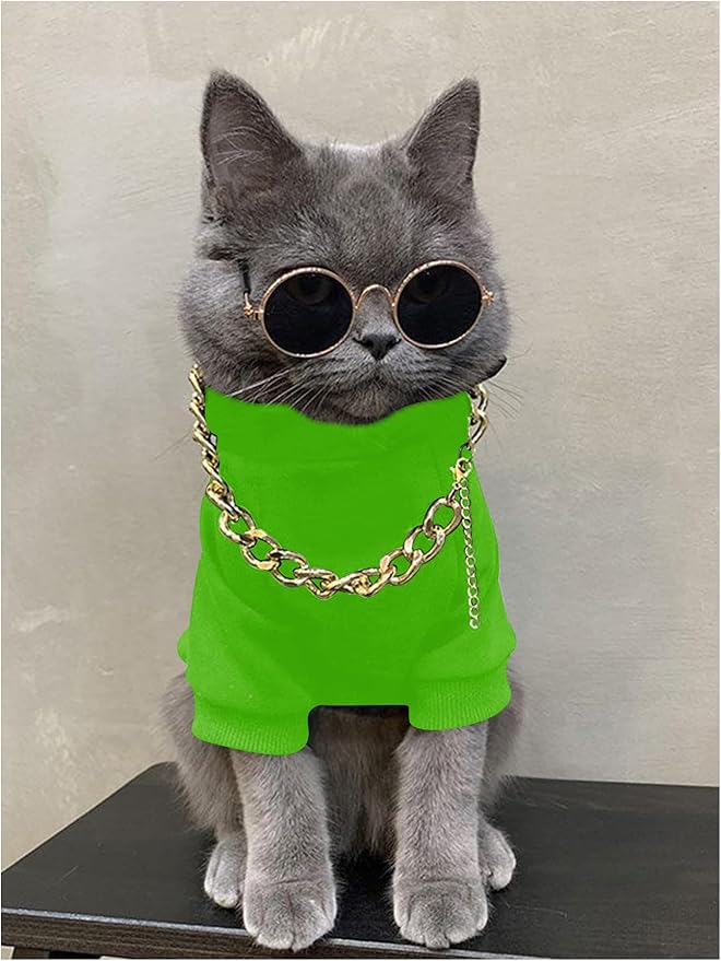 QWINEE 3Pcs Dog Hoodie Cat Apparel Dog Custume Set with Necklace and Sunglasses Pet Clothes for Puppy Small Medium Dogs Cats Green XX-Small